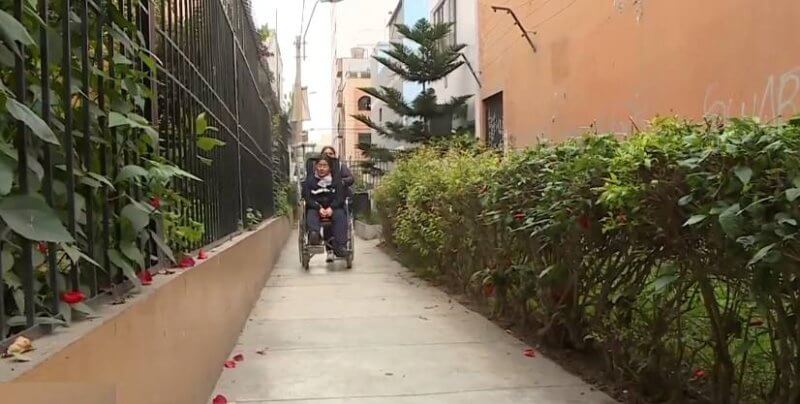 Puno: Ayudemos a Jade para que vuelva a caminar 1 1. AYUDEMOS A JADE FOTON