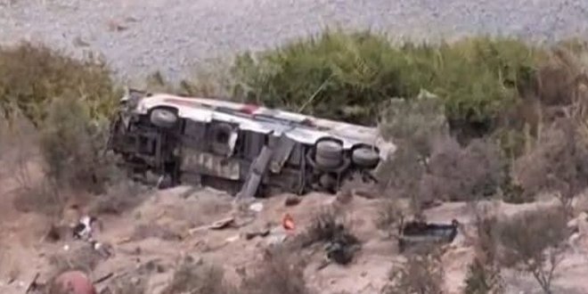 582204658 889231266784783 54106754902818991 n