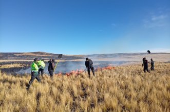 Dantesto incendio forestal