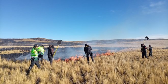 Puno: Dantesto incendio forestal 1 Dantesto incendio forestal
