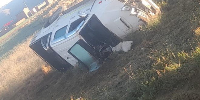 IMG 20251101 094138 800 x 533 pixel