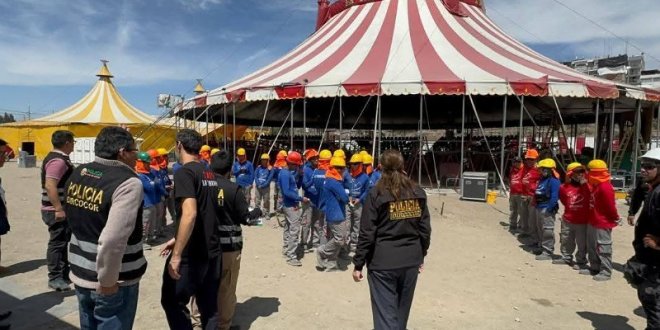 IMG 20251104 155004 800 x 533 pixel