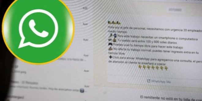 IMG 20251104 162511 800 x 533 pixel