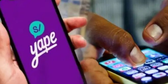 IMG 20251105 162537 800 x 533 pixel