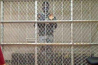 IMG 20251106 082433 800 x 533 pixel