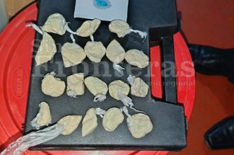 IMG 20251111 160105 800 x 533 pixel