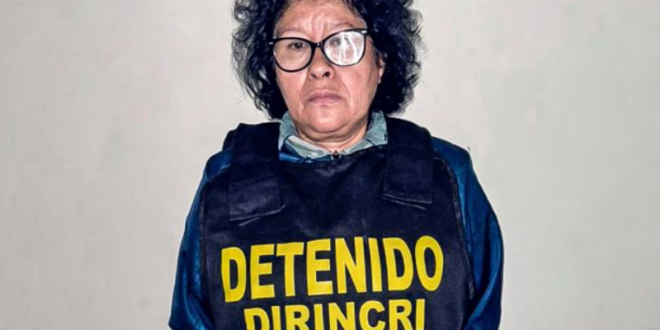 IMG 20251112 164559 800 x 533 pixel