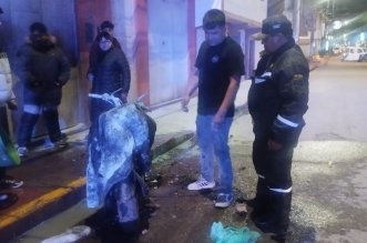 IMG 20251113 121058 800 x 533 pixel