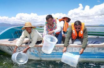 IMG 20251113 170824 800 x 533 pixel