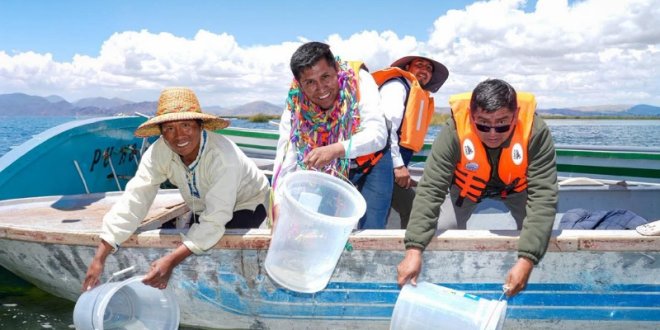 IMG 20251113 170824 800 x 533 pixel