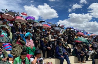 IMG 20251114 205408 800 x 533 pixel