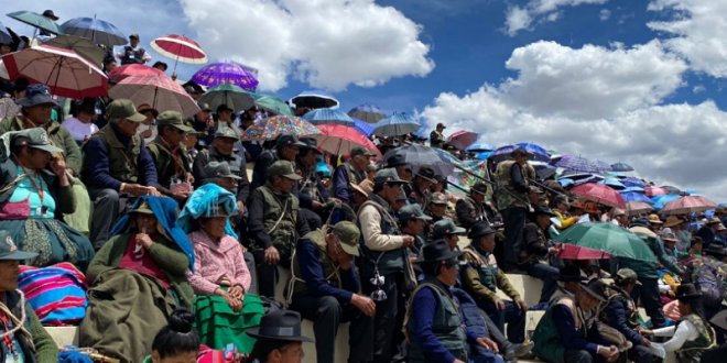 IMG 20251114 205408 800 x 533 pixel