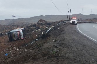 IMG 20251121 080903 800 x 533 pixel