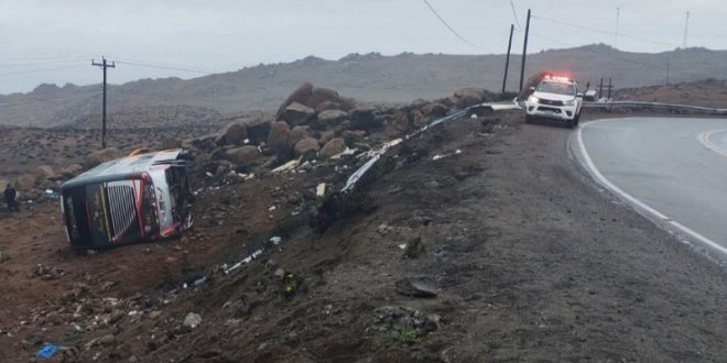 IMG 20251121 080903 800 x 533 pixel