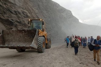 IMG 20251122 085603 800 x 533 pixel