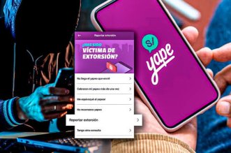 IMG 20251122 093528 800 x 533 pixel