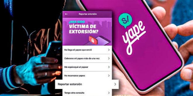 IMG 20251122 093528 800 x 533 pixel