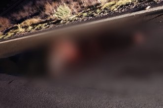 IMG 20251125 160735 800 x 533 pixel