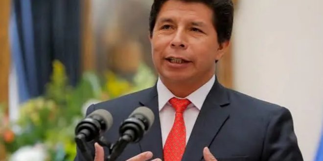 IMG 20251127 142740 800 x 533 pixel