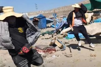 IMG 20251129 132938 800 x 533 pixel