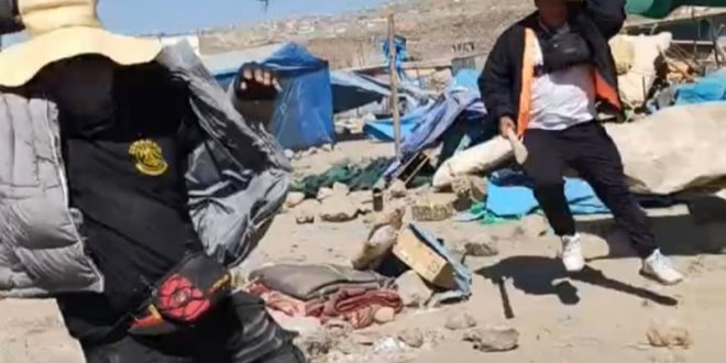 IMG 20251129 132938 800 x 533 pixel