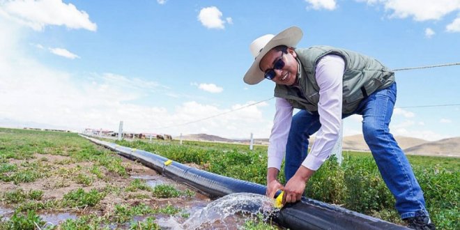 IMG 20251130 150422 800 x 533 pixel