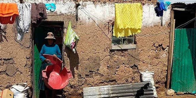 WhatsApp Image 2025 11 13 at 7.47.51 PM