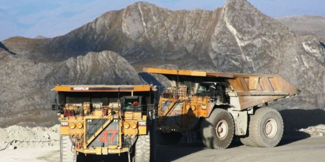 WhatsApp Image 2025 11 20 at 5.30.33 PM