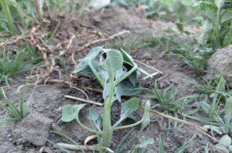 WhatsApp Image 2025 11 21 at 9.46.51 AM