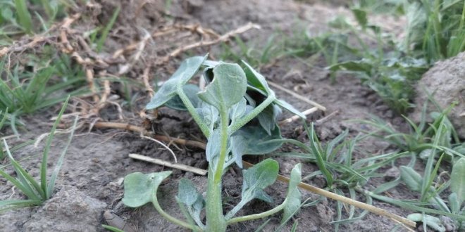 WhatsApp Image 2025 11 21 at 9.46.51 AM