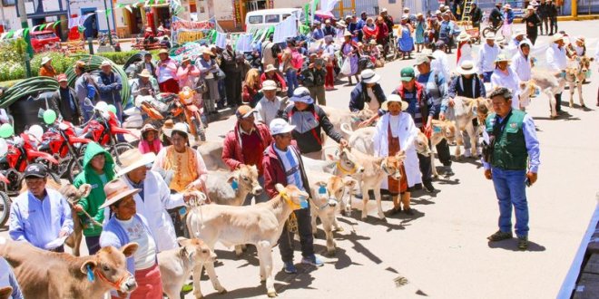 WhatsApp Image 2025 11 22 at 10.40.51 AM