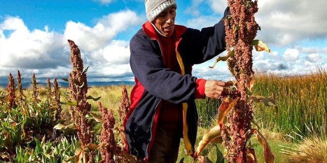 WhatsApp Image 2025 11 27 at 6.28.22 PM