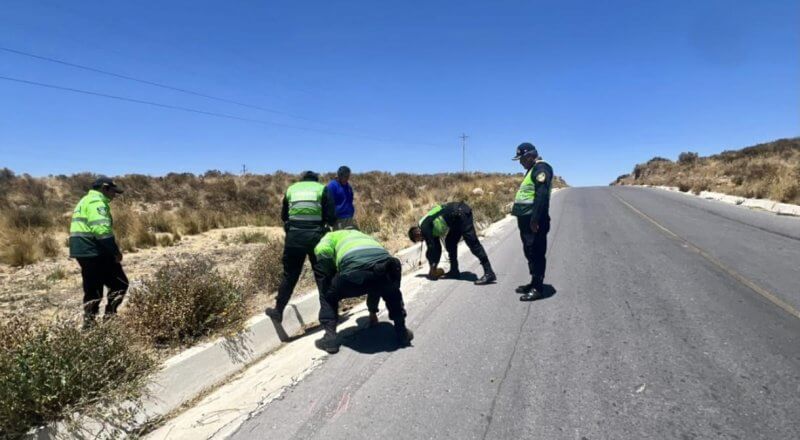 Arequipa: Ingeniero manejaba auto donde su madre falleció 1 a 33