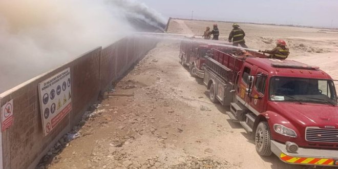 abridoraaaaaaa unir11