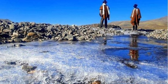 foto puno soportaria