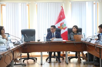 La congresista Diana Gonzales votó en contra.