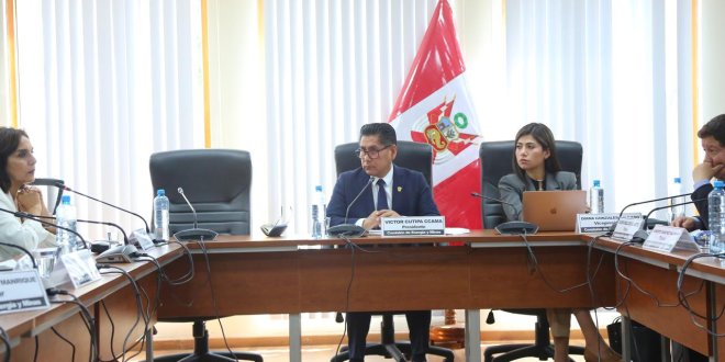 Comisión de Energía y Minas aprueba ampliar el Reinfo hasta el 2027 1 La congresista Diana Gonzales votó en contra.