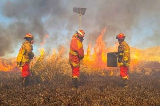 62ee1f34 a875 41e8 a1f3 b4d305a9fb9a