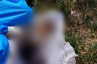 IMG 20251204 100057 800 x 533 pixel