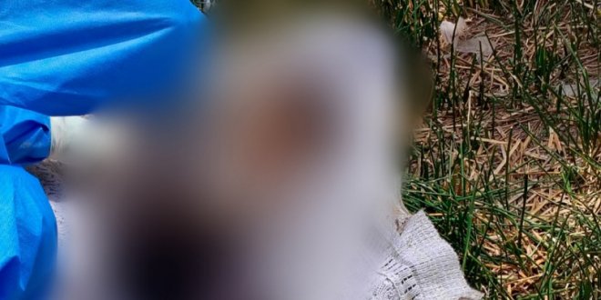 IMG 20251204 100057 800 x 533 pixel