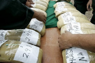 IMG 20251206 150209 800 x 533 pixel