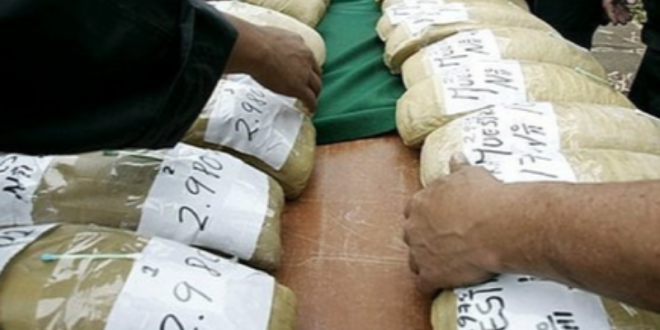 IMG 20251206 150209 800 x 533 pixel