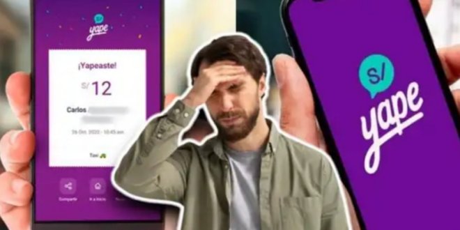 IMG 20251206 163156 800 x 533 pixel