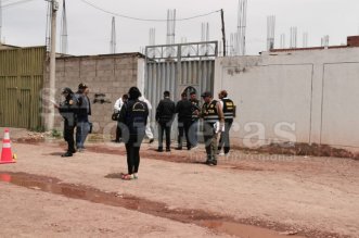 IMG 20251207 150601 800 x 533 pixel