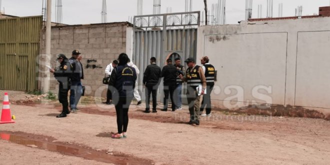 IMG 20251207 150601 800 x 533 pixel