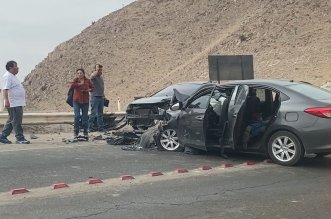 IMG 20251209 162908 800 x 533 pixel