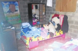 IMG 20251212 085216 800 x 533 pixel