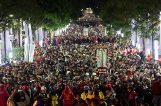 IMG 20251212 120935 800 x 533 pixel