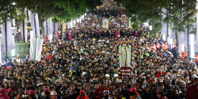 IMG 20251212 120935 800 x 533 pixel