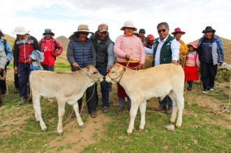 IMG 20251212 125352 800 x 533 pixel